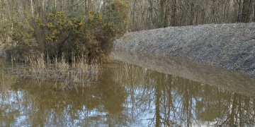Saumur. Une sortie nature à la découverte des mares du Bois du Petit Souper