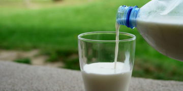 La rubrique diététique. Journée mondiale du lait : faut-il encore boire du lait ?