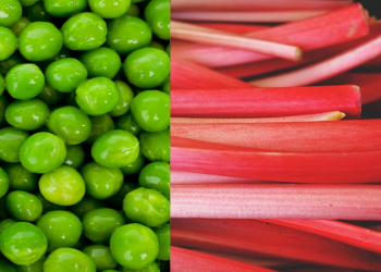 La rubrique diététique : Petits pois, fèves, pommes de terre nouvelles et rhubarbe : les saveurs de juin qui font du bien