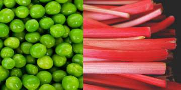 La rubrique diététique : Petits pois, fèves, pommes de terre nouvelles et rhubarbe : les saveurs de juin qui font du bien
