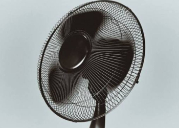 Canicule, feux de forêts, travail, sport, alcool, santé… Quelle situation en Anjou ?