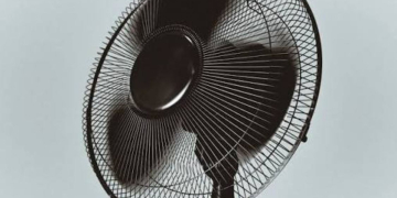 Canicule, feux de forêts, travail, sport, alcool, santé… Quelle situation en Anjou ?
