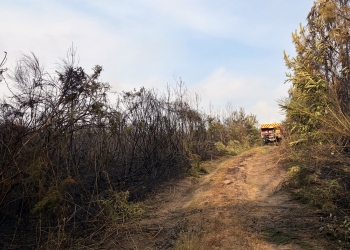 Gennes-Val de Loire et les Ulmes. Des incendies ont mobilisé les pompiers durant la nuit