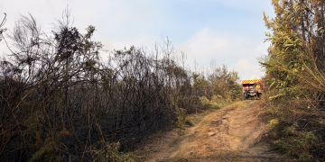 Gennes-Val de Loire et les Ulmes. Des incendies ont mobilisé les pompiers durant la nuit