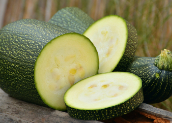 La rubrique diététique. La courgette : le légume caméléon qui réinvente votre cuisine