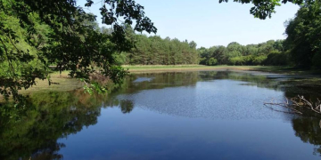 Noyant-Villages. Cet étang va bénéficier d&rsquo;une aide 18 000 euros pour protéger sa biodiversité