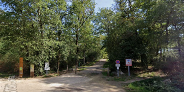 Gennes. Fermeture de la forêt de Joreau en raison du risque d’incendie