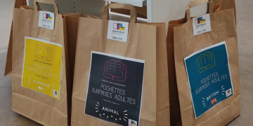 Beaufort-en-Anjou. Culture : Des pochettes pour se laisser surprendre à la médiathèque