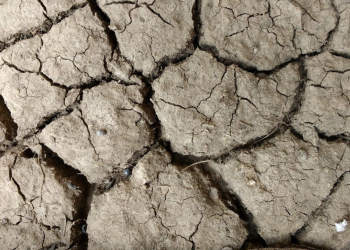 Maine-et-Loire. Des mesures pour préserver la ressource en eau face à la sécheresse grandissante