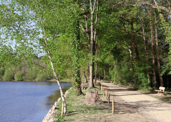 Gennes-Val de Loire. La commune rouvre le site de la forêt du Joreau
