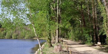 Gennes-Val de Loire. La commune rouvre le site de la forêt du Joreau