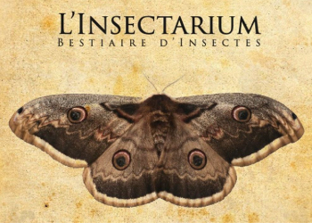 19 septembre au Puy-Notre-Dame. « L&rsquo;Insectarium : Bestiaire d&rsquo;insectes », un spectacle au bord du Thouet