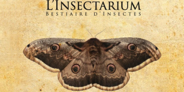 19 septembre au Puy-Notre-Dame. « L&rsquo;Insectarium : Bestiaire d&rsquo;insectes », un spectacle au bord du Thouet