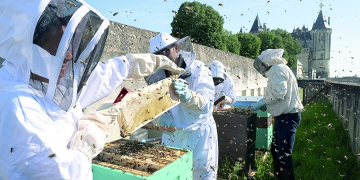 Saumur. Clap de fin pour les apprentis apiculteurs saumurois