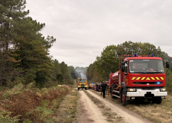 Gennes-Val de Loire. Le feu dans forêt de Milly a été fixé grâce à plus de 80 pompiers et 15 engins