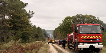 Gennes-Val de Loire. La forêt de Milly une nouvelle fois en proie aux flammes