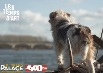 7 octobre à Saumur. Un avant-goût du festival Les Temps d&rsquo;Art avec un ciné-débat ce mercredi