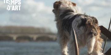 7 octobre à Saumur. Un avant-goût du festival Les Temps d&rsquo;Art avec un ciné-débat ce mercredi