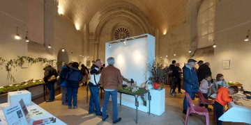 24 et 25 octobre à Saumur. L&rsquo;exposition de champignons revient à St-Hilaire-Florent
