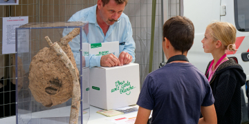 Saumur. Des pièges à frelons asiatiques offerts aux Saumurois
