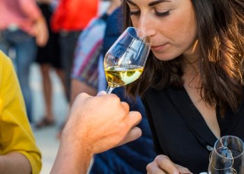 16 au 18 octobre en Maine-et-Loire. Vignobles en Scène ! : l’Anjou-Saumur transforme son vignoble en terrain de jeu