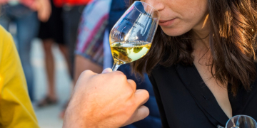 16 au 18 octobre en Maine-et-Loire. Vignobles en Scène ! : l’Anjou-Saumur transforme son vignoble en terrain de jeu