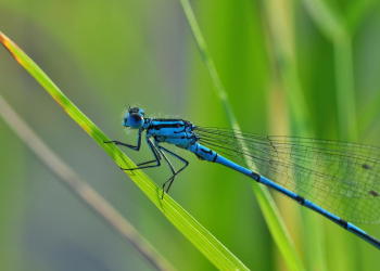 28 octobre à Saumur. Une journée des Grands Explorateurs pour explorer les phénomènes incroyables de la nature