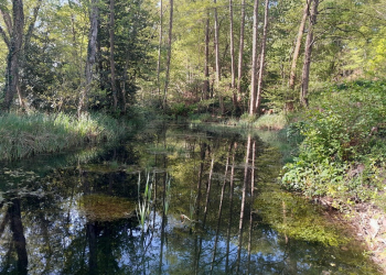 L’Agglomération Saumur Val de Loire poursuit son programme de restauration et de création de mares