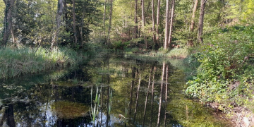 L’Agglomération Saumur Val de Loire poursuit son programme de restauration et de création de mares