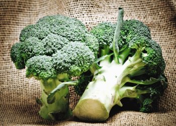 La rubrique diététique. Le brocoli : ses petits bouquets cachent bien leur jeu !