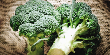 La rubrique diététique. Le brocoli : ses petits bouquets cachent bien leur jeu !